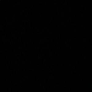 Meet your Posher, Celine